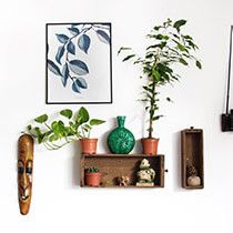 Decoratiuni