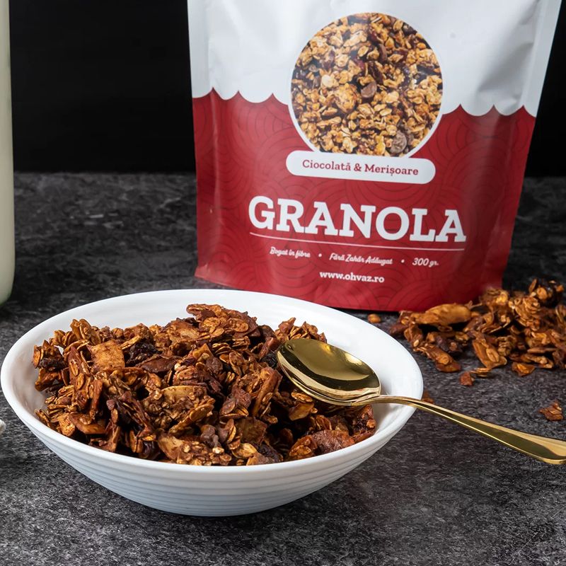 Granola cu Ciocolata si Merisoare